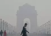 Delhi Govt Appoints Two Scientists as Analysts to Study Pollution