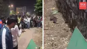 Delhi Street Crowd Stops to Watch Unusual Mouse Fight, Video Goes Viral