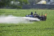 Diesel shortage hits paddy harvest, shrimp farming in North Andhra