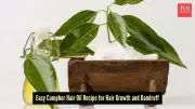 DIY Camphor Hair Oil: Beat Summer Dandruff and Itchy Scalp Naturally