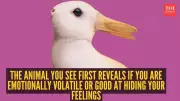 Duck or Rabbit First? Viral TikTok Illusion Reveals Your Hidden Personality Traits
