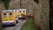 Easter Tragedy in Germany: High Winds Topple Tree, Killing Three Including Infant