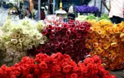 Elections Provide Crucial Boost to Chennai's Flower Market Amid Summer Slump