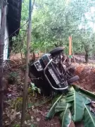 Elephant 'Omkar' Causes Panic in Goa, Damages Vehicles and Crops