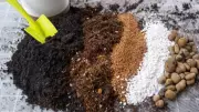 Essential Soil Mix Tips for Healthy Plant Growth: A Comprehensive Guide