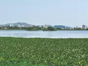 Explore Nanmangalam Forests: Trekking, Birdwatching, Nature Trails in Chennai