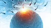 Fertility Expert Debunks Biological Clock Myths for Women