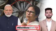 Fish Sparks Political Debate in Bengal Polls: Identity vs Economy Clash
