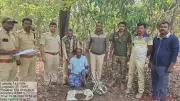 Forest Officials Arrest Man, Seize 45 Crude Bombs in Shivamogga Poaching Raid