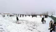 Fresh Snowfall in Kashmir's Higher Reaches, Plains Receive Showers