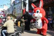 From Gorilla Costumes to Social Media Blitz: The Theatrical Evolution of Election Campaigning in Chennai