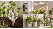 Gardening Expert Exposes 5 Overpriced Products as Marketing Gimmicks