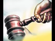 Gauhati High Court Halts Tree Felling Tender in Amchang Sanctuary for Ring Road