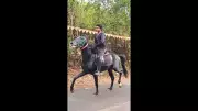 Goa Police Summon Horse for Medical Check After Viral Highway Riding Video