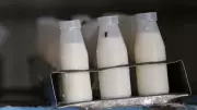 Goa raw milk prices rise due to hike in procurement rates