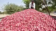 Government Reduces Onion Buffer Stock Target by 33% for 2026 Procurement