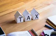 Government Surpasses Indirect Tax Collection Targets, Boosting Fiscal Health