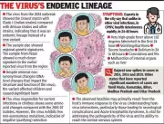 Gujarat 2024 Chandipura Virus Genome Decoded with 293 Mutations