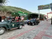 Gujarat to Build New Zoo in Barda Wildlife Sanctuary After 40 Years