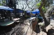 Gurgaon Greenbelts in Sectors 30-31, 40-41 Remain Neglected Despite Resident Complaints
