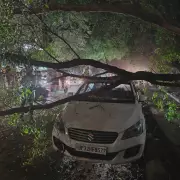 Gusty Winds Disrupt Lucknow's Power Grid, Cause Infrastructure Damage