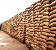 Haryana Directs Officials to Ensure Timely Wheat Procurement and Lifting