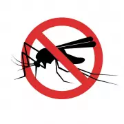 Health Officials Urge Public to Stay Alert Against Mosquito-Borne Diseases