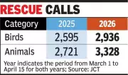 Heatwave Causes Surge in Bird and Animal Rescues in Ahmedabad