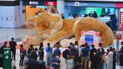 Hong Kong Airport's Giant Interactive Cat Offers Purr-fect Travel Relief