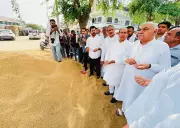 Hooda Criticizes BJP Over Declining Wheat Procurement in Haryana