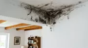 How to Clean Dusty Ceiling Corners Like a Pro Without Making a Mess