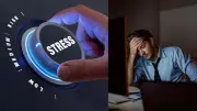 How Zodiac Elements Shape Your Stress Response: Fire, Earth, Air, Water