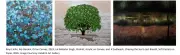 Hyderabad Exhibitions Blend Contemporary and Folk Art from May 2