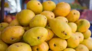 Hyderabad Police Crack Down on Artificial Mango Ripening, Issue Public Warning