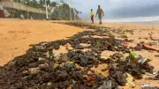 India Drafts First-Ever Tar Ball Management Rules to Combat Marine Pollution