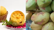 Indian Bael vs Coconut Water: Which is Better for Summer Hydration?