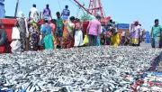 India's Fisheries Exports Surge to Rs 68,000 Cr Despite US Tariffs