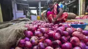 India's Onion Exports Surge 40% in March, Diversify Beyond Bangladesh