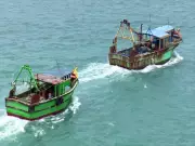 India's Seafood Exports: A Journey from Growth to Global Competitiveness