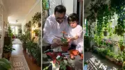 Indoor Gardening Revolution: From Pandemic Hobby to Urban Lifestyle Essential