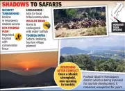 Indravati Tiger Reserve to Reopen as Maoist Threat Declines in Bastar Region