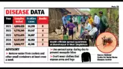 Jharkhand Sees Sharp Rise in Malaria Cases in Forested Districts