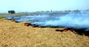 Kapurthala DC Urges Intensified Efforts to Curb Stubble Burning