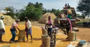 Karnataka Farmers See Major Income Boost from World Bank REWARD Program