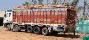 Karnataka Government Cracks Down on Multi-Crore Timber Smuggling Racket in Hassan