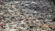 Karnataka Shop Owner Faces FIR for Illegal Garbage Dumping in Sullia