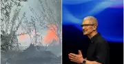 Kerala Fireworks Blast Kills 8, Apple CEO Tim Cook Resigns After 15 Years