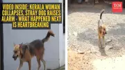Kerala Woman's Bond with Street Dog Moves Community After Her Death