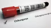 Kerala's Ernakulam Reports Chikungunya Cases, Health Surveillance Ramped Up