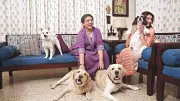 Kolkata Family's Heartwarming Tale: Four Dogs Are Not Pets But Beloved Children